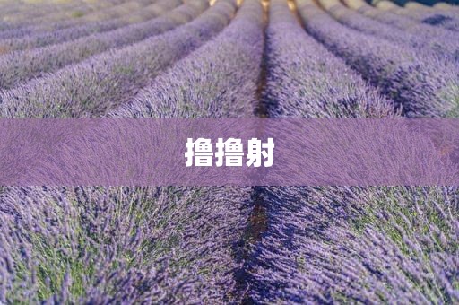 撸撸射