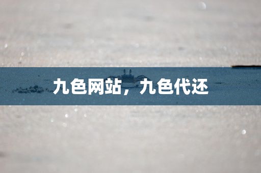九色网站，九色代还