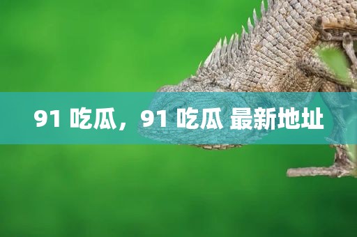 91 吃瓜，91 吃瓜 最新地址