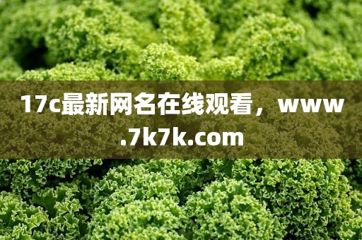 17c最新网名在线观看，www.7k7k.com