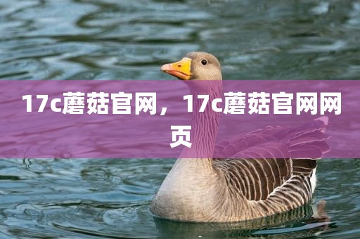 17c蘑菇官网，17c蘑菇官网网页