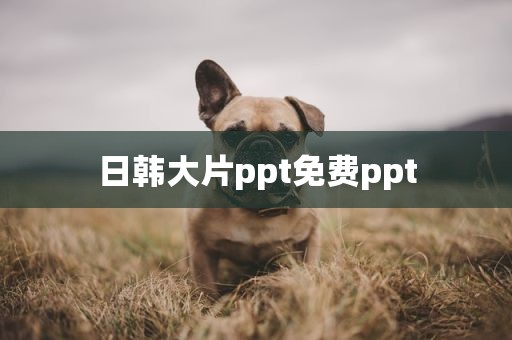 日韩大片ppt免费ppt