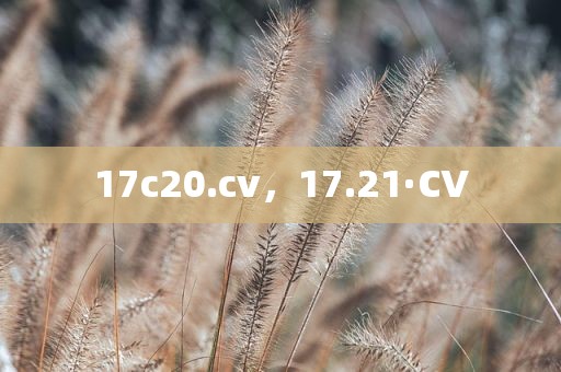 17c20.cv，17.21·CV