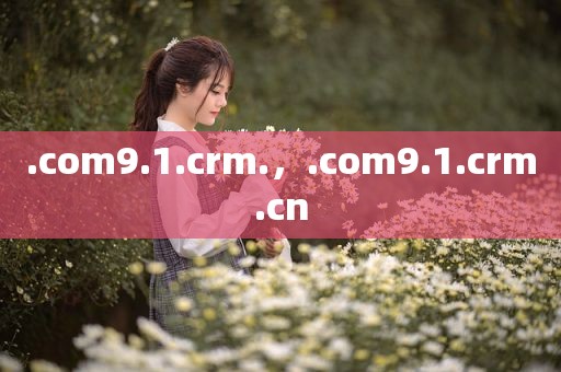 .com9.1.crm.，.com9.1.crm.cn