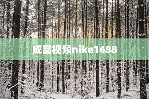 成品视频nike1688