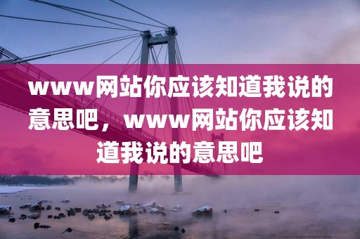 www网站你应该知道我说的意思吧，www网站你应该知道我说的意思吧