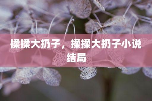 揉揉大扔子，揉揉大扔子小说结局