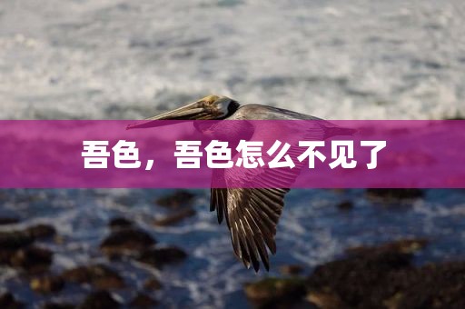 吾色，吾色怎么不见了