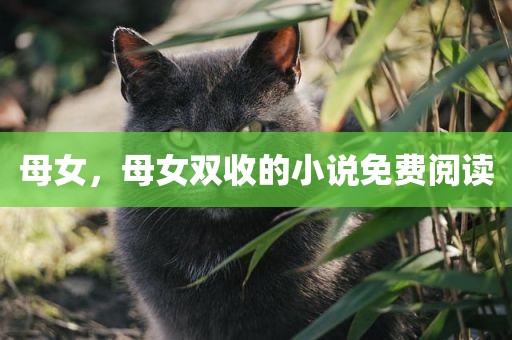 母女，母女双收的小说免费阅读