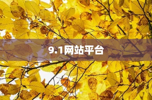 9.1网站平台