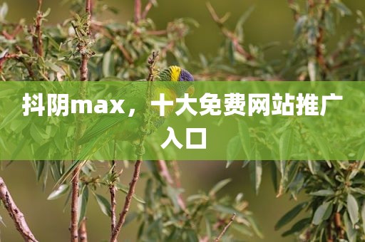 抖阴max，十大免费网站推广入口