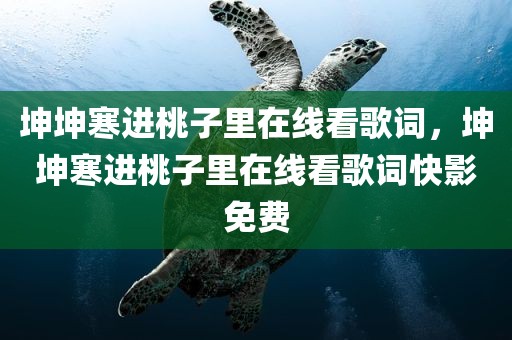 坤坤寒进桃子里在线看歌词，坤坤寒进桃子里在线看歌词快影免费