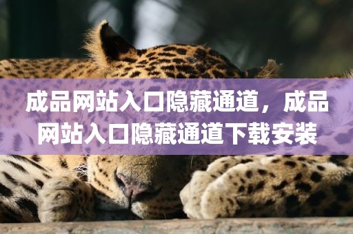 成品网站入口隐藏通道，成品网站入口隐藏通道下载安装