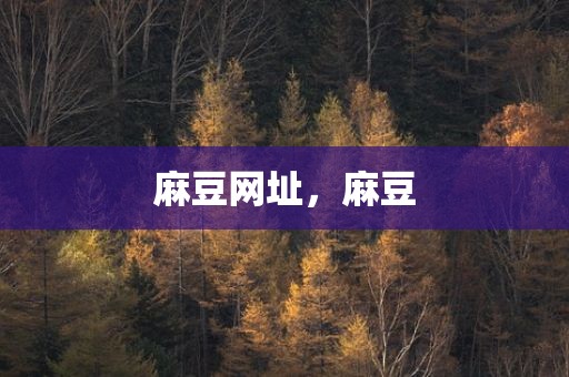 麻豆网址，麻豆