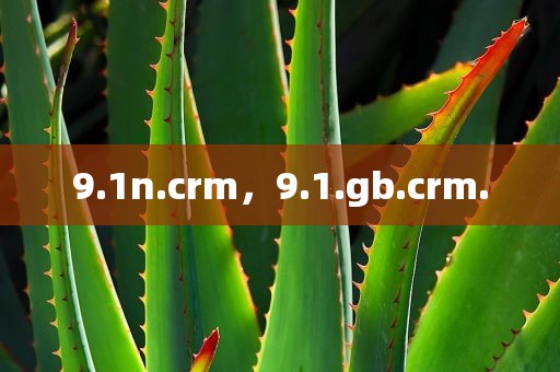 9.1n.crm，9.1.gb.crm.