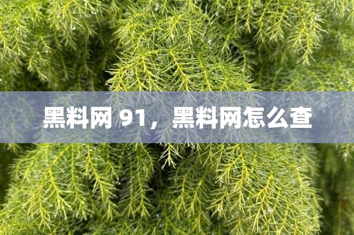 黑料网 91，黑料网怎么查