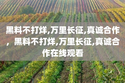 黑料不打烊,万里长征,真诚合作，黑料不打烊,万里长征,真诚合作在线观看
