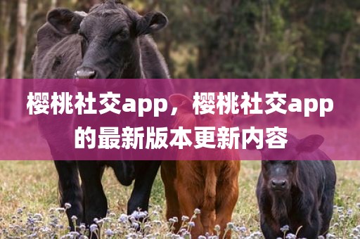 樱桃社交app，樱桃社交app的最新版本更新内容
