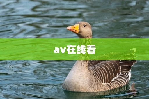 av在线看