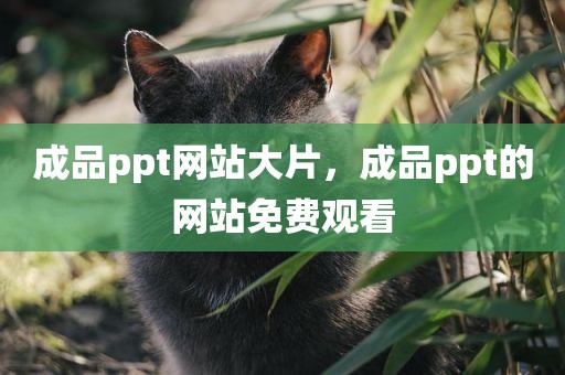 成品ppt网站大片，成品ppt的网站免费观看