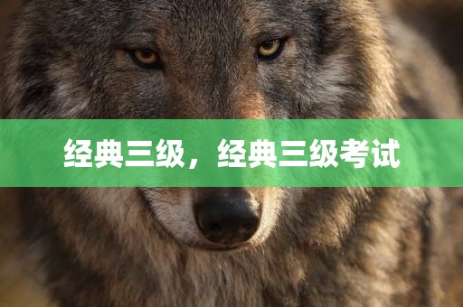 经典三级，经典三级考试