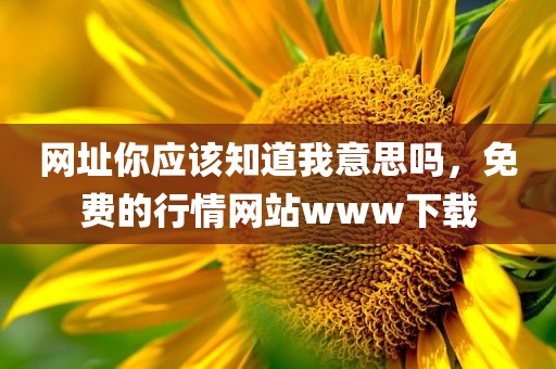 网址你应该知道我意思吗，免费的行情网站www下载
