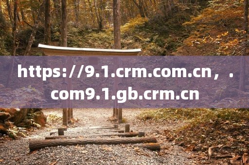 https://9.1.crm.com.cn，.com9.1.gb.crm.cn