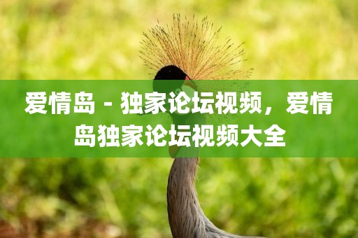 爱情岛－独家论坛视频，爱情岛独家论坛视频大全