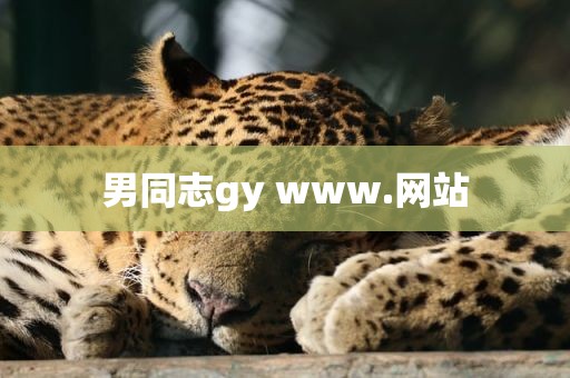 男同志gy www.网站