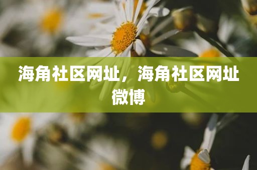 海角社区网址，海角社区网址微博