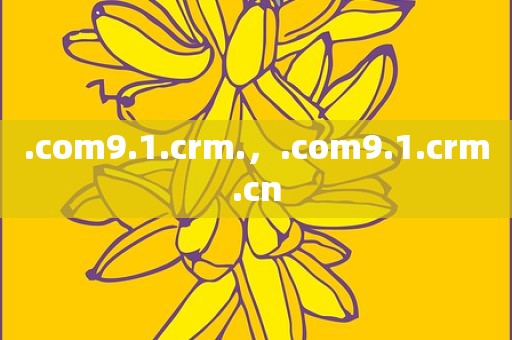 .com9.1.crm.，.com9.1.crm.cn