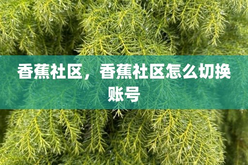 香蕉社区，香蕉社区怎么切换账号