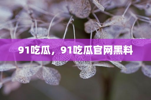 91吃瓜，91吃瓜官网黑料