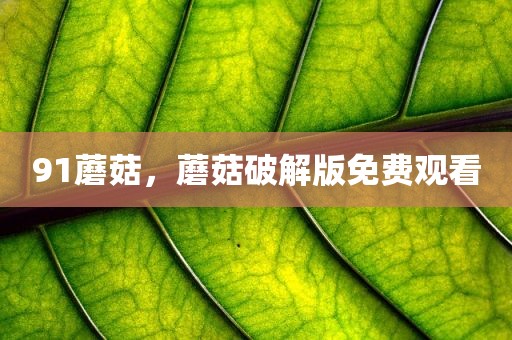 91蘑菇，蘑菇破解版免费观看