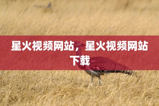 星火视频网站，星火视频网站下载