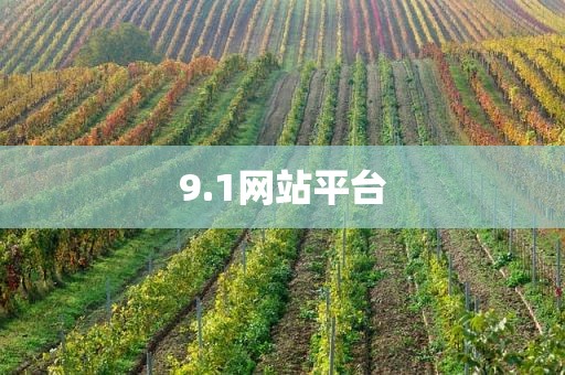 9.1网站平台