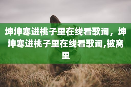 坤坤寒进桃子里在线看歌词，坤坤寒进桃子里在线看歌词,被窝里