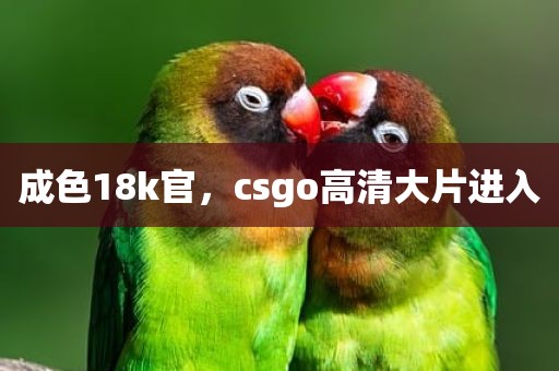 成色18k官，csgo高清大片进入