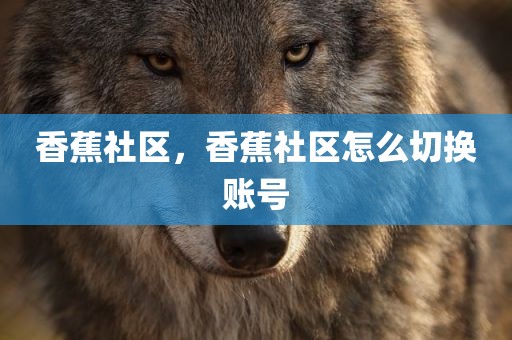 香蕉社区，香蕉社区怎么切换账号