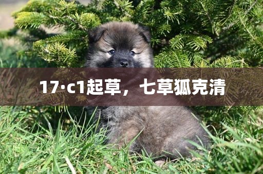 17·c1起草，七草狐克清