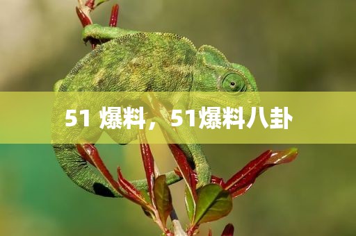 51 爆料，51爆料八卦
