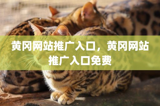 黄冈网站推广入口，黄冈网站推广入口免费