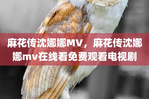 麻花传沈娜娜MV，麻花传沈娜娜mv在线看免费观看电视剧