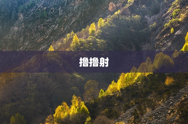 撸撸射