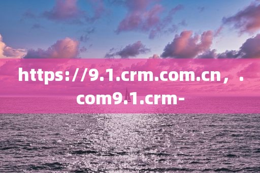 https://9.1.crm.com.cn，.com9.1.crm-