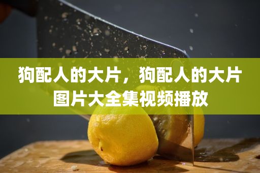 狗配人的大片，狗配人的大片图片大全集视频播放