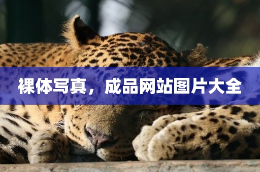 裸体写真，成品网站图片大全