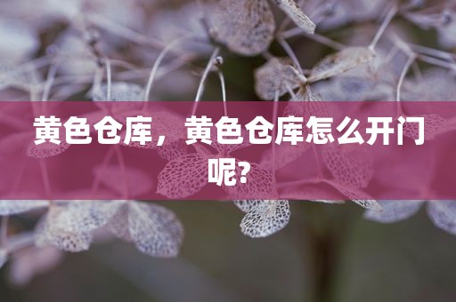 黄色仓库，黄色仓库怎么开门呢?