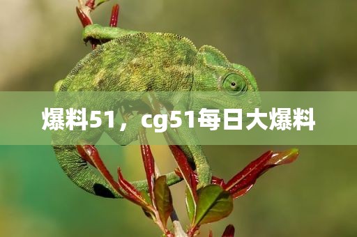 爆料51，cg51每日大爆料