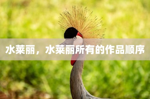 水莱丽，水莱丽所有的作品顺序